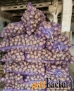 Продажа оптовых партий овощных культур из Алтайского края