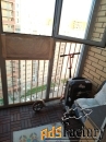 1 - комн.  квартира, 44 м², 14/23 эт.
