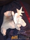 Продам керамика маленькая фигурка-копилка лось с рогами