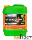 Антисептик невымываемый для древесины БИОВУД