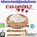 Professional supply 2-bromo-4-methylpropiophenone CAS 1451-82-7