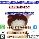 Excellent offer BMK Glycidic Acid (sodium salt) CAS 5449-12-7