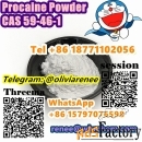 High Quality Procaine Powder CAS 59-46-1 +8618771102056