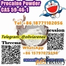 High Quality Procaine Powder CAS 59-46-1 +8618771102056