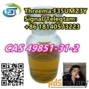 Chemical Liquid CAS 49851-31-2 /20320-59-6/5337-93-9 Free sampl
