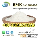Factory Direct Sales BMK Glycidic Acid (sodium salt) CAS 5449-12-7