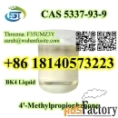 CAS 5337-93-9 BK4 4-Methylpropiophenone with Best Price