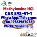 Methylamine HCl CAS 593-51-1 with fast delivery best price