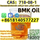 German warehouse New BMK Oil 718-08-1 Benzenebutanoic acid,b-oxo-,ethy