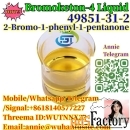 BOC Piperidone CAS 49851-31-2 2-Bromo-1-phenyl-pentan-1-one