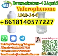 BK4 Liquid CAS 1009-14-9 Valerophenone high purity