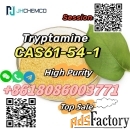 Best Quality Tryptamine CAS 61-54-1 Whatsapp:+8618086003771