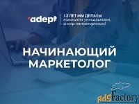 Начинающий маркетолог