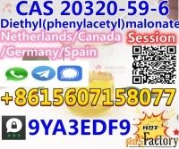 CAS20320-59-6 Diethyl(phenylacetyl)malonate 2-3 Days Delivery