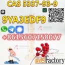 Factory direct supply P-Methylpropiophenone CAS 5337-93-9