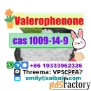 CAS 1009-14-9 Valerophenone Chemical Raw Material Safe Delivery