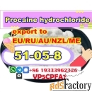 CAS 51 05 8 Procaine hydrochloride Procaine hcl Fast and Safe Delivery