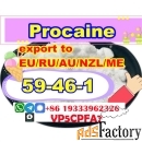 CAS 59 46 1 Procaine Fast and Safe Delivery 99% Purity Procaine hcl