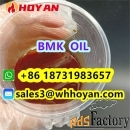 Bmk Oil CAS 20320-59-6 BMK PMK Supplier Hoyan Bulk Price