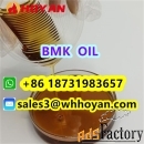 Bmk Oil CAS 20320-59-6 BMK PMK Supplier Hoyan Bulk Price