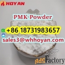 PMK powder CAS 28578-16-7 High Yield BMK PMK Powder