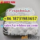 CAS 148553-50-8 Pregabalin Russia best selling manufacturer