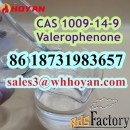 CAS 1009-14-9 Valerophenone factory safe delivery to Russia/Kazakhstan