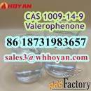 CAS 1009-14-9 Valerophenone factory safe delivery to Russia/Kazakhstan