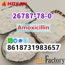 Cas 26787-78-0 Amoxicillin powder export