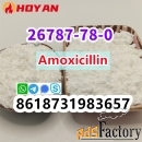 Cas 26787-78-0 Amoxicillin powder export