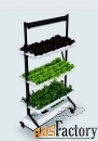 growsvet hydro salat 3 + light