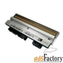 термоголовка для принтера zebra zm600, 203dpi (79803m) (ssp-168-1344-a