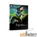 corel painter 2020 license (single user) арт.