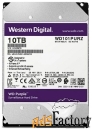 жесткий диск western digital wd101purz