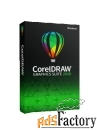 coreldraw graphics suite su 365-day subscription