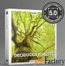 boom library deciduous forests stereo  surround арт.