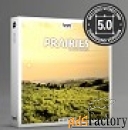 boom library prairies stereo  surround арт.