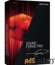 sony sound forge pro mac 3 - esd (anr007608esd)