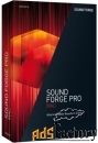 право на использование (электронный ключ) magix sound forge pro mac 3