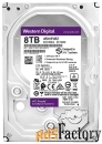 жесткий диск western digital wd81purz