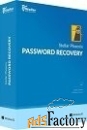 stellar password recovery technician for windows (lifetime) арт.