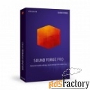 sound forge pro 13 suite - esd - site license 05-99