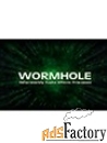 zynaptiq wormhole арт.