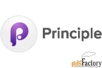 principle for mac (license with 1 year support) арт.