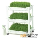 проращиватель tribest wheatgrass grower set sm-350