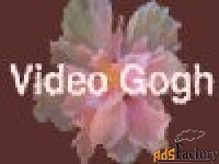 re vision effects re:vision effects video gogh v3.8.1 (floating licens