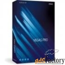 vegas pro 17 suite - esd site license 100+