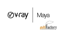 chaosgroup v-ray next workstation для maya, коммерческий, английский а