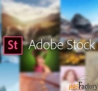 подписка (электронно) adobe stock for teams (other) 12 мес. level 1 1-