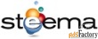 steema software teesuite for net enterprise developer license арт.